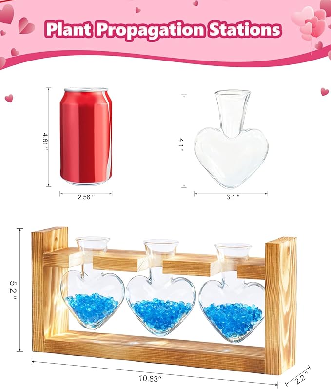 Nacome Plant Terrarium Propagation Stations: Birthday Gifts for Plant Lovers Women Mom Wife Daughter - 3 Bulb Glass Vase with Wooden Stand Tabletop for Hydroponics Home Garden Wall Decor
