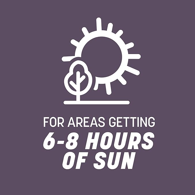 Pennington Annual Ryegrass Retail Bag to Overseed Warm Season Grasses, 25 lb