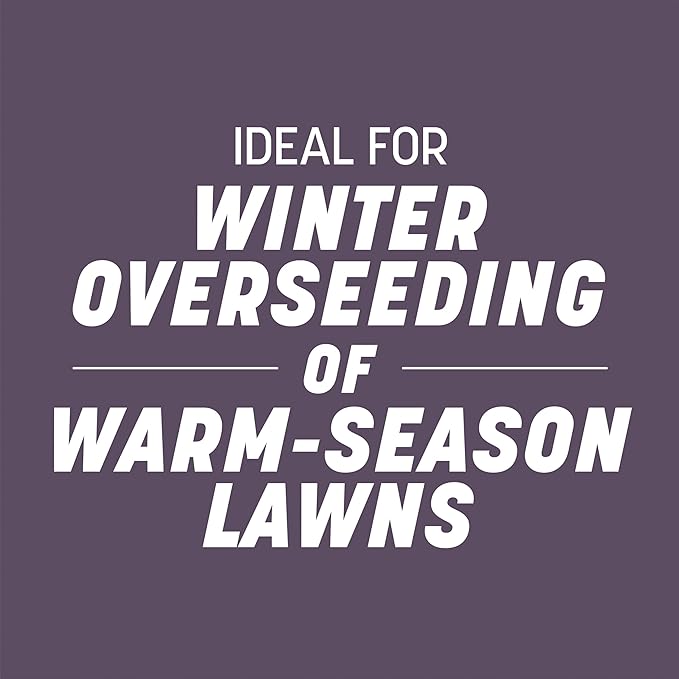 Pennington Annual Ryegrass Retail Bag to Overseed Warm Season Grasses, 25 lb
