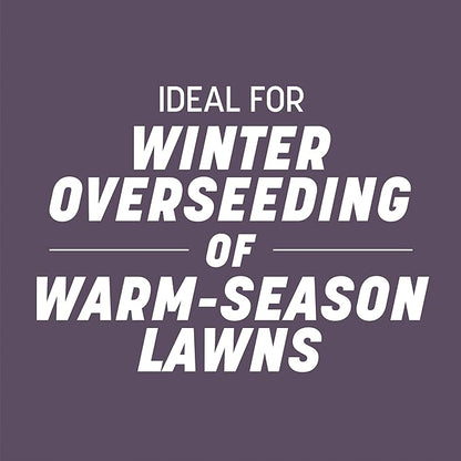 Pennington Annual Ryegrass Retail Bag to Overseed Warm Season Grasses, 25 lb