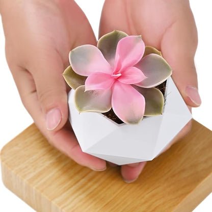 Levitating Plant Pot, Magnetic Levitation Flower Pot Suspension Floating Plant Succulents, Air Bonsai Potted Plant for Home Decoration, Living Room, Office, Desk (White)