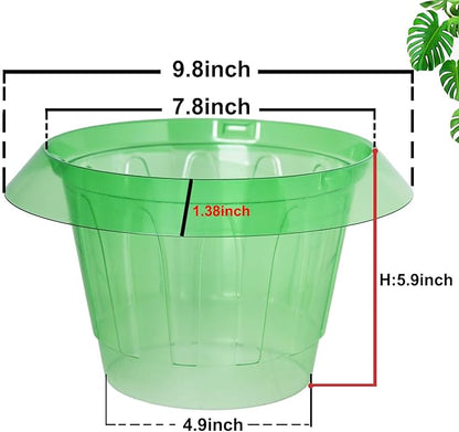 6 Pack Slug Collars for Plants,Medium-Sized Snail Protection Ring, Provides Effective Protection Against Snails for Your Salad Plants and Others Plants.