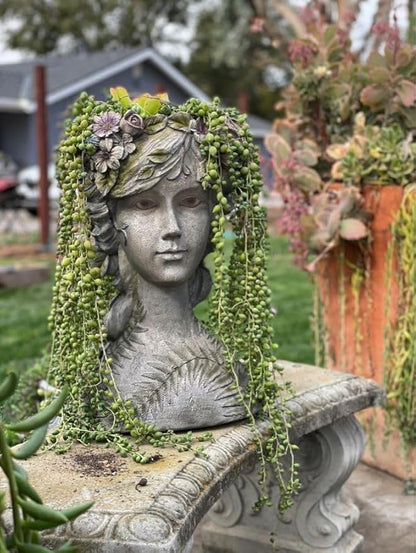 DiliComing Head-Planter Face-Planters Pot - 10 Inch Flower Pots Outdoor with Drainage Hole, Face Flower Pot Head Planter for Garden Decor, Gifts for Women and Housewarming Gift 6.5 x 6 x 10.2 Inch