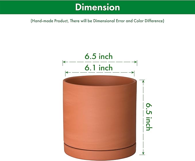 D'vine Dev Small 6 Inch Terracotta Plant Pot with Drainage Hole and Saucer, Round Cylinder Planter Pot for Indoor Plants, 40-X-A-3