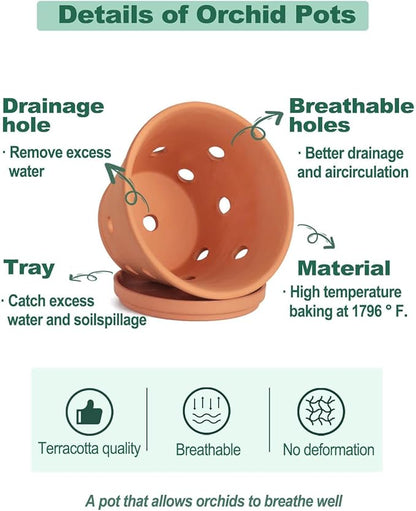 vensovo 8 Inch Terracotta Orchid Pots with Holes and Saucers, 2 Pack Large Clay Planters for Repotting, Terra Cotta Pots for Indoor & Outdoor Plants, Promotes Air Circulation
