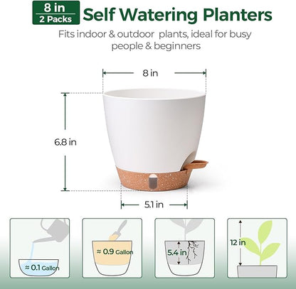 T4U 2 Pack 8 Inch Self Watering Pots - Water Level Indicator & Deep Reservoir, Mess-Free Planter for Busy People, Beginners & Gardeners, Pothos/Herbs/Snake Plants, Indoor Outdoor Use (White)