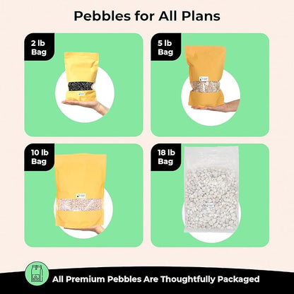 White Rocks. Decorative Pebbles. 1/5 Inch 2 lbs for Garden, Landscaping, Indoor, Vase Fillers, Crafting, Succulents, Pots, Plants (Mini, Tumbled, 2)