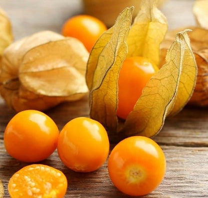 200+ Seeds Strawberry Ground Cherry - Physalis - Vegetable Orange