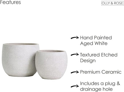 Olly & Rose Barcelona Ceramic Plant Pot Set 2 - White Flower Pots - Indoor & Outdoor Planters (White)
