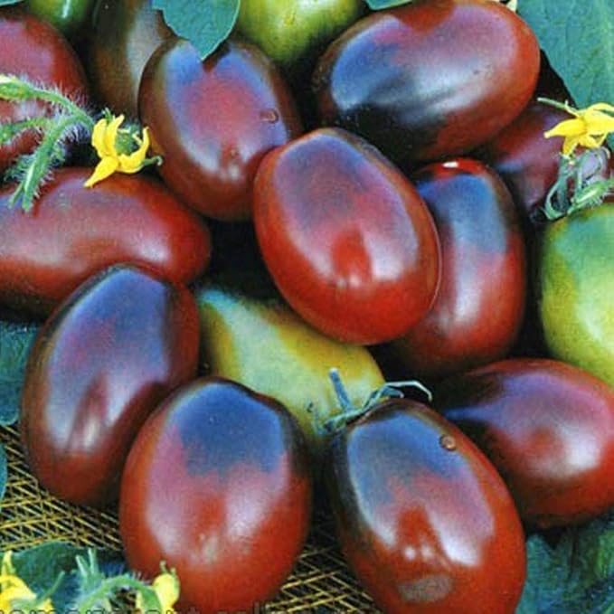 Seeds Vegetable Black De Barao Tomato - 40 Seeds