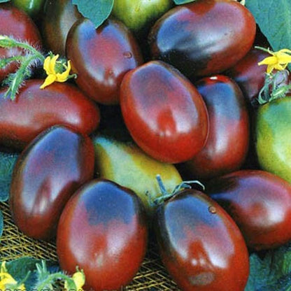 Seeds Vegetable Black De Barao Tomato - 40 Seeds