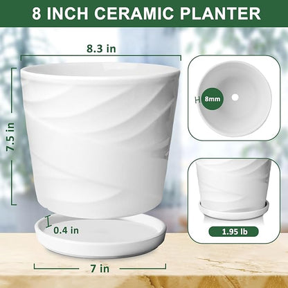 8 Inch Plant Pot,Ceramic Planter with Drainage and Saucer,Ceramic Pots for Plants,Indoor Plant pots,Ceramic Flower pots(Pure White)