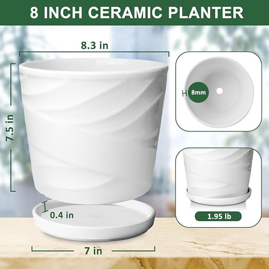 8 Inch Plant Pot,Ceramic Planter with Drainage and Saucer,Ceramic Pots for Plants,Indoor Plant pots,Ceramic Flower pots(Pure White)