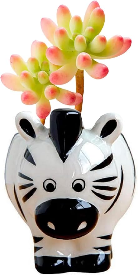 Ceramic Succulent Plant Pot Cactus Plant Pot Flower Pot Container Planter with Drainage Hole Home Office Desk Garden Gift Idea Animal Shaped Flower Pot Cute Vase Pot (Zebra)