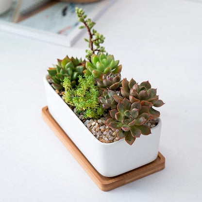 White Ceramic Succulent Plant Pots, 1 Rectangular Flower Pot + 1 Round Planter, Set of 2 Small Cactus Container, Bonsai Pots, Succulent Pots with Drainage Hole& Bamboo Tray (No Plant)
