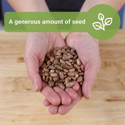 Sow Right Seeds - Bulk Kentucky Wonder Pole Bean Seeds for Planting - 2 Ounce, 170 Seeds - Non-GMO Heirloom Jumbo Pack with Instructions to Plant a Home Vegetable Garden - Bountiful Harvest of Beans
