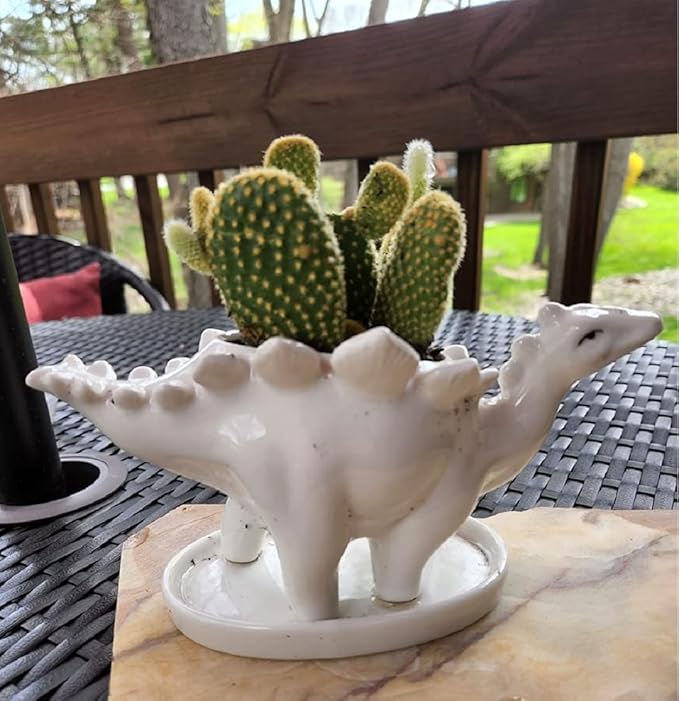 Ceramic Succulent Plant Pot Cactus Plant Pot Flower Pot Container Planter with Drainage Hole Home Office Desk Garden Gift Idea Animal Shaped Flower Pot Cute Vase Pot (4pcs Dinosaur)