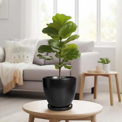 8 Inch Plant Pot - Ceraimc Planter for Indoor Outdoor Plants, Round Flower Pots with Drainage and Tray, House Decor, Black