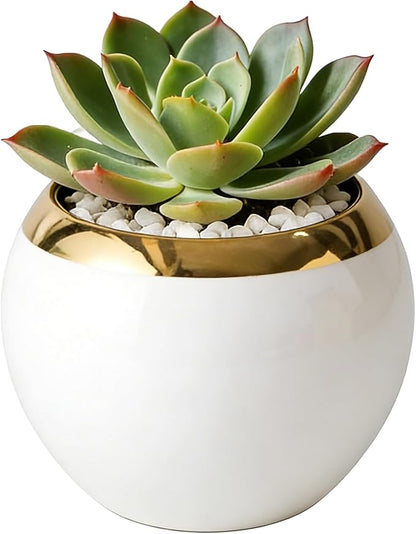 White Gold Spherical Ceramic Plant Pots Succulent Small Plant Pot Indoor Modern Decorative Indoor-Outdoor Garden Plant Pots with Drainage Holes - Plants Not Included 3.94 x 3.94 x 3.15 Inch
