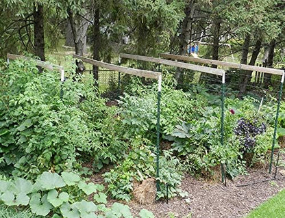 Straw Bale Gardening Five Bale Preparation kit with 100% Organic Formulation Blood Meal 18 lbs Includes Bacteria and Fungi Spores