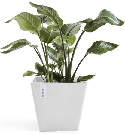 Ecopots Rotterdam Durable Modern Square Indoor/Outdoor Recycled-Based Composite Flower Planter, Pure White, 15.75"