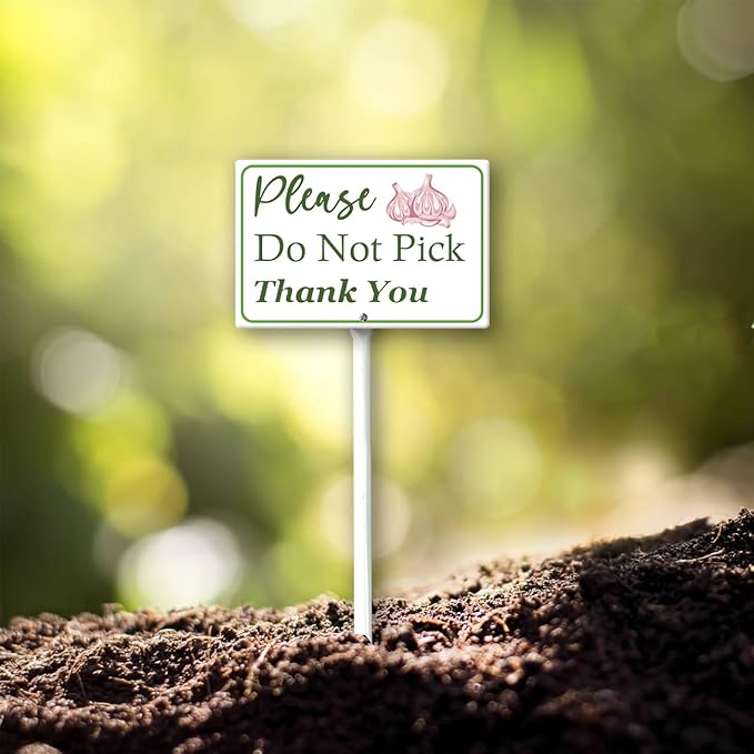 Boylee (8X12) IN Please Do Not Pick Garlic Thank You Yard Sign With Stake Rustproof Aluminum Fruit Vegetable Signs Stand for Home Orchard Garden Outdoor Decoration
