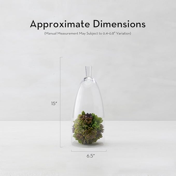 Z Gallerie Jules Cloche Hand-Blown Glass Display Dome, Elegant Terrarium for Curated Decor, Artistic Showcase for Sentimental Objects, Clear