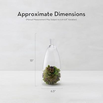 Z Gallerie Jules Cloche Hand-Blown Glass Display Dome, Elegant Terrarium for Curated Decor, Artistic Showcase for Sentimental Objects, Clear