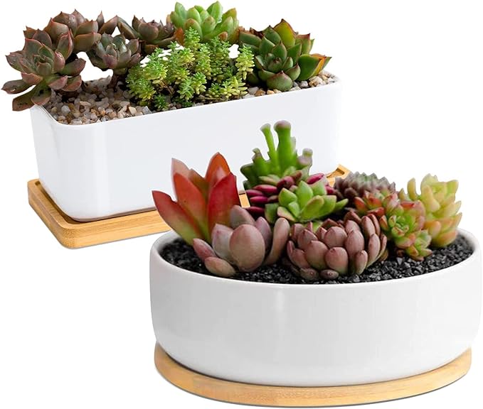 White Ceramic Succulent Plant Pots, 1 Rectangular Flower Pot + 1 Round Planter, Set of 2 Small Cactus Container, Bonsai Pots, Succulent Pots with Drainage Hole& Bamboo Tray (No Plant)