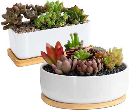 White Ceramic Succulent Plant Pots, 1 Rectangular Flower Pot + 1 Round Planter, Set of 2 Small Cactus Container, Bonsai Pots, Succulent Pots with Drainage Hole& Bamboo Tray (No Plant)