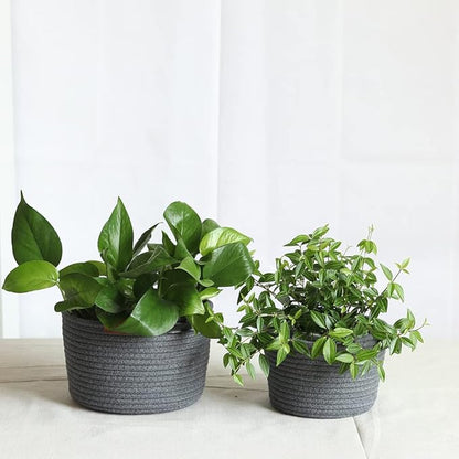 2Pack Hanging Flower Pots Plant Hangers,Wedding Party Birthday Gift Storage Baskets Home Garden Hanging Planter, Waterproof Lining Hydroponic Plant Pot-Dark Grey