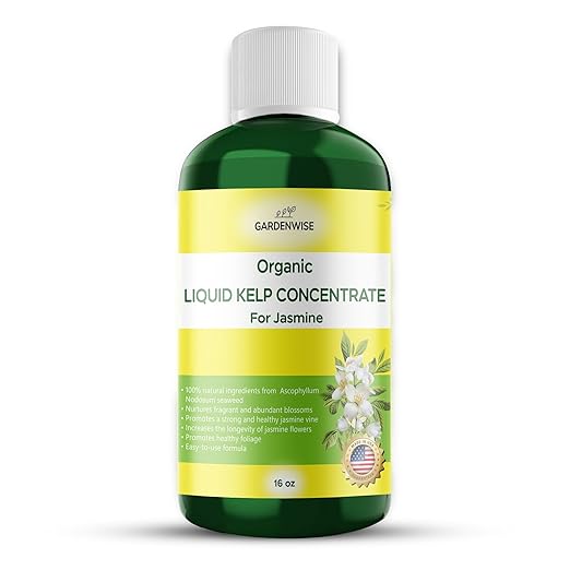 Organic Premium Kelp Seaweed Fertilizer for Jasmin - Liquid Fertilizer - Liquid Plant Food - Nutrient-Rich Soil Enhancer - Natural Plant Food for Jasmin (16 OZ)
