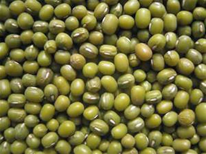 Mung Bean Sprouting Seed - 12 Oz - Country Creek Brand - Dried Mung Beans for Sprouts, Garden Planting, Chinese & Asian Cooking, Soup & More