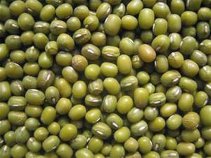 Mung Bean Sprouting Seed - 12 Oz - Country Creek Brand - Dried Mung Beans for Sprouts, Garden Planting, Chinese & Asian Cooking, Soup & More