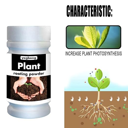 Root Powder, Rooting Powder for Cuttings Root Hormone Root Stimulator Fertilizer and Soil Improver Grow New Plants from Cuttings for Indoor Plants Shrubs Lawn Fruit Vegetables 50g & 100g(100g)
