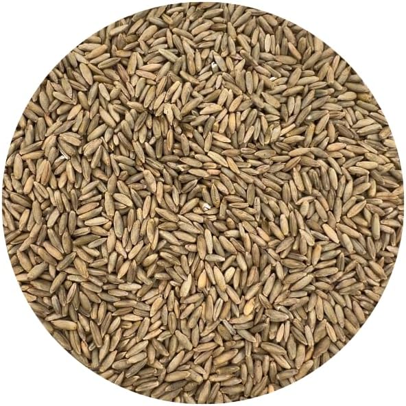 Old Cobblers Farm™ Wicked Tuff Turf Winter Rye for Lawn No Till Food Plot Seed Fall Cover Crop Mix (5 lbs | 10 lbs | 15 lbs | 20 lbs) (20 lb)