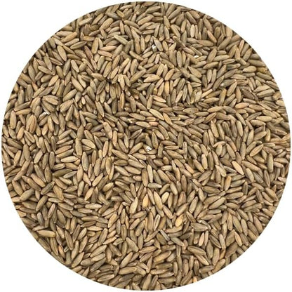 Old Cobblers Farm™ Wicked Tuff Turf Winter Rye for Lawn No Till Food Plot Seed Fall Cover Crop Mix (5 lbs | 10 lbs | 15 lbs | 20 lbs) (1 lb)