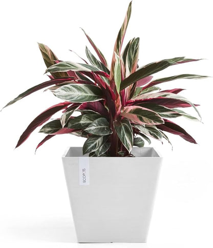 Ecopots Rotterdam Durable Modern Square Indoor/Outdoor Recycled-Based Composite Flower Planter, Pure White, 12"