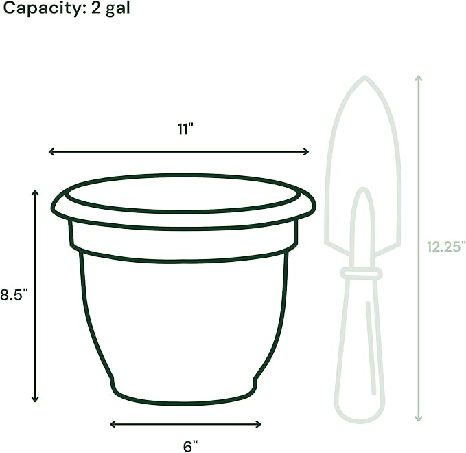 Bloem Ariana 10" Misty Blue Round Self-Watering Resin Planter Pot - Rolled Rim Indoor and Outdoor Gardening Planter