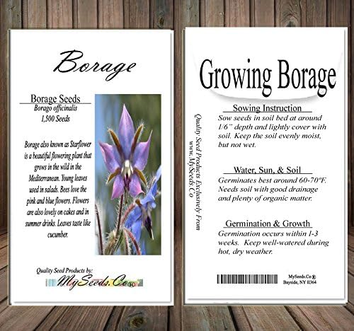 Big Pack - Borage, Borago officinalis Seeds (1,500 Seeds) - Edible Flower Seeds (Big Pack - Borage)