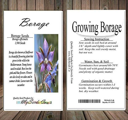 Big Pack - Borage, Borago officinalis Seeds (1,500 Seeds) - Edible Flower Seeds (Big Pack - Borage)