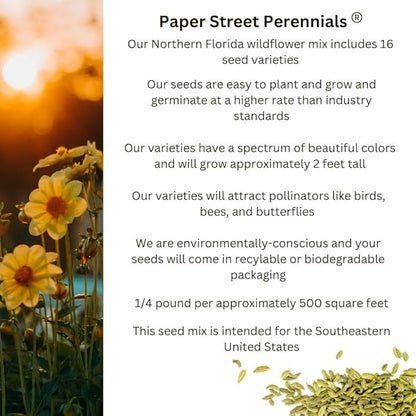 Northern Florida Bulk Perennial Wildflower Seed Mix 1lb Covers 2,000sq-ft - Attract Pollinators, Multi-Color Blooms - Southeast US Species Plant in Spring/Fall, Earth-Friendly Packaging (1/2 Pound)