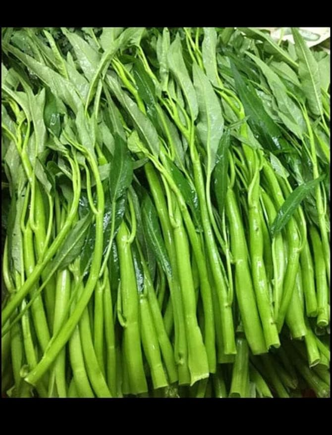 1000 Seeds - Kang Kong Seeds A.k.a. Rau Muong Or Ong Choy Seeds | Kong Xin CAI Seeds for Planting | Kangkong Non-GMO Seeds for A Fresh Vegetable Garden