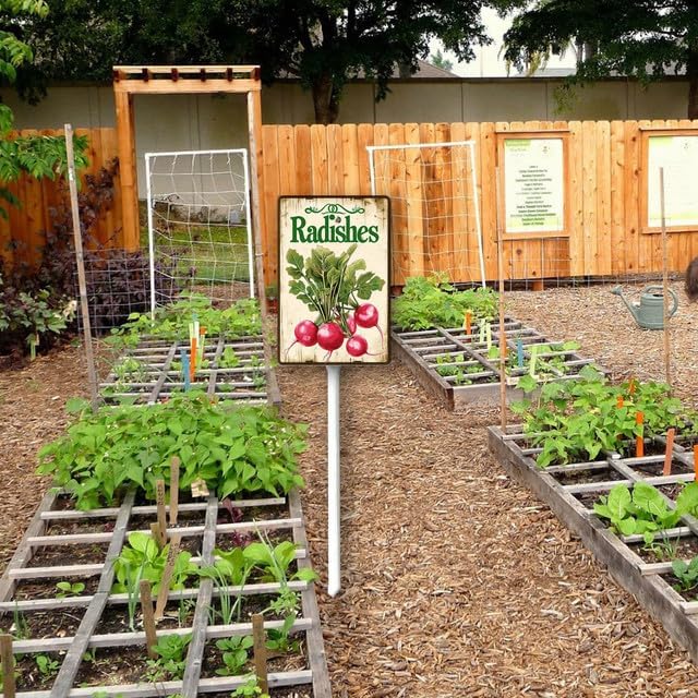 Uptell Vintage Vegetable Signs for Garden with Stake Radishes Yard Sign Vegetable Garden Label Stakes Plant Markers for Outdoor Plants Waterproof 8x12inch
