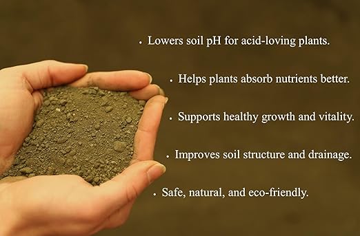 Greensand 20 Pounds – Natural Fertilizer for Healthy Soil, Rich in Potassium & Iron, Great for Gardens, Lawns & Growing - Lancaster Agriculture Products
