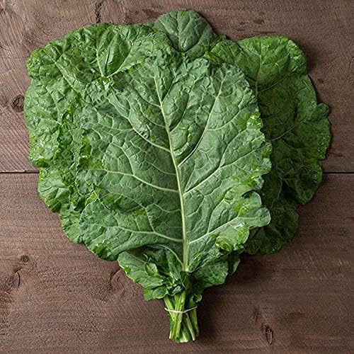 Organic Collard Greens Seeds, APPR. 125, Georgia Collard Greens, Heirloom Vegetable Seeds, Certified Organic, Non GMO, Non Hybrid, USA