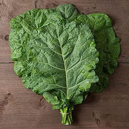 Organic Collard Greens Seeds, APPR. 125, Georgia Collard Greens, Heirloom Vegetable Seeds, Certified Organic, Non GMO, Non Hybrid, USA