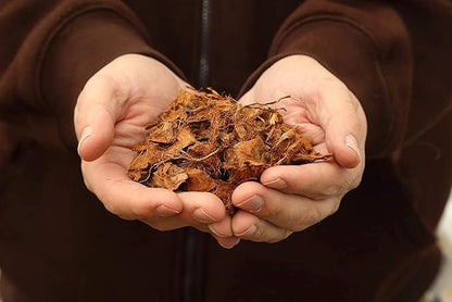 Premium Coconut Coir Fiber Husk Chips Brick 500 g OMRI Listed Organic Growing Medium for Orchids Houseplants Reptiles Terrariums