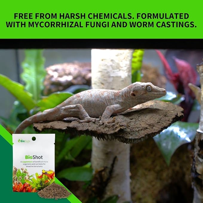The Bio Dude BioShot for bioactive Substrate - Soil inoculant and Plant Booster (6 Quart Substrate Shot)