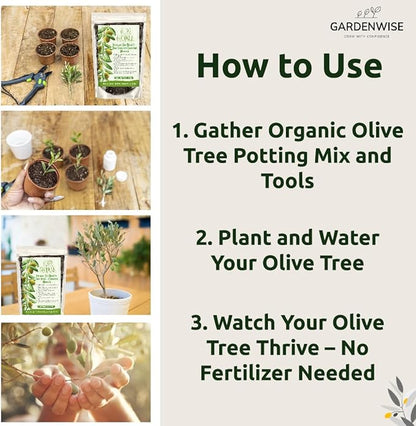 Organic Olive Tree Potting Mix – Fast-Draining, Nutrient-Rich Soil for Indoor & Outdoor Olive Trees – Mediterranean Plant Care – Long-Lasting Formula (10 QUARTS)